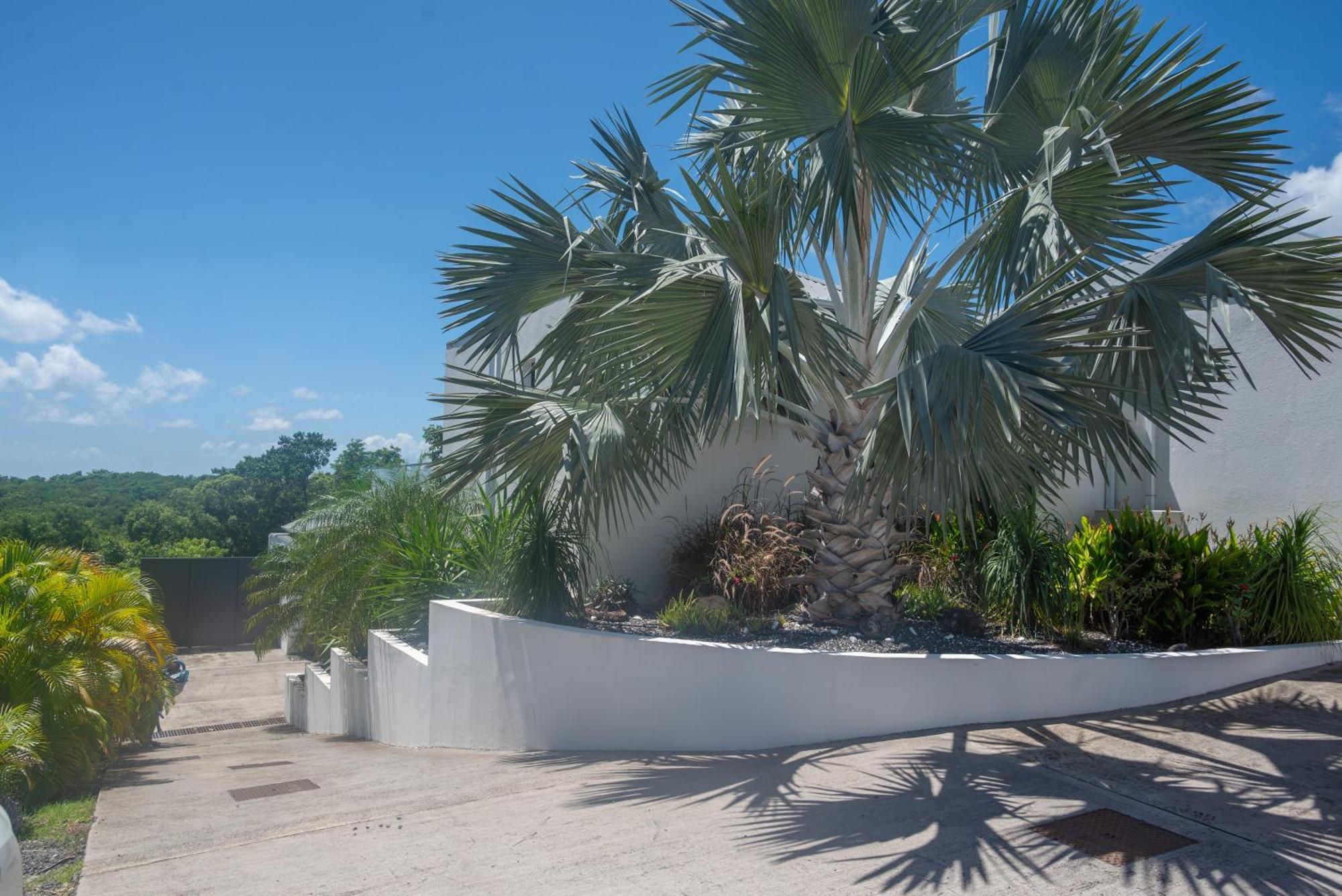 Tropic & Chic Villa Sainte-Anne  Dış mekan fotoğraf